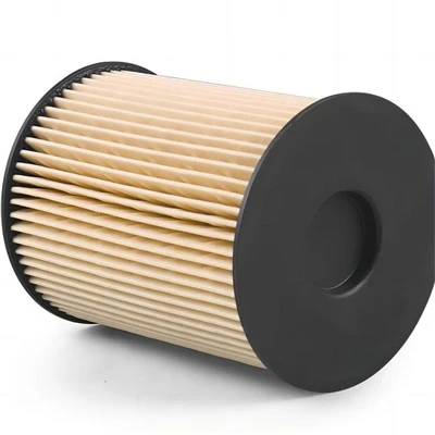 Filtre de combustible 5015581AA